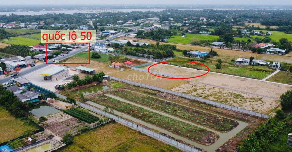 3592993 ảnh đại diện 2