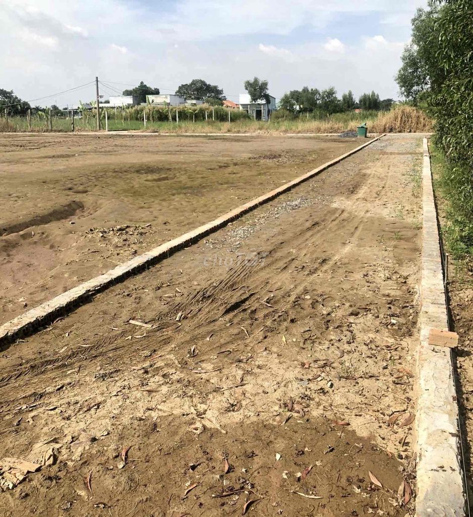 3592989 ảnh đại diện 1