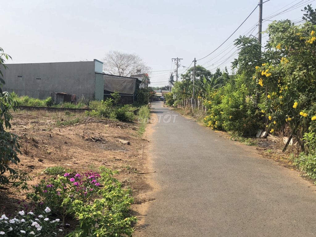 3594602 ảnh đại diện 1