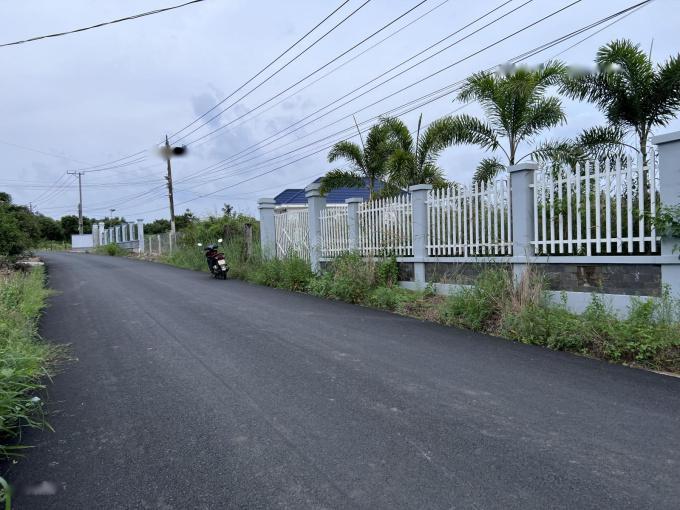 3593834 ảnh đại diện 2