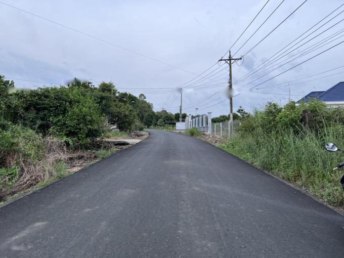3593834 ảnh đại diện 1