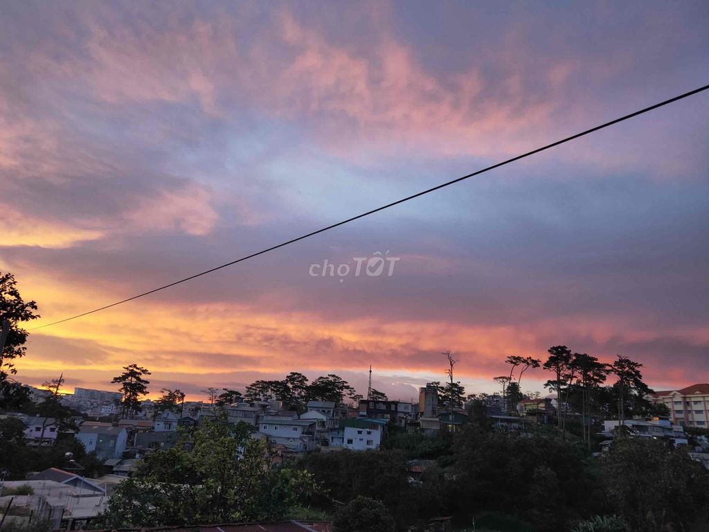 3597070 ảnh đại diện 1