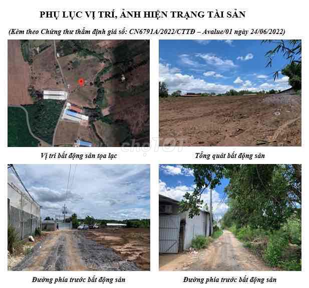 3594599 ảnh đại diện 1