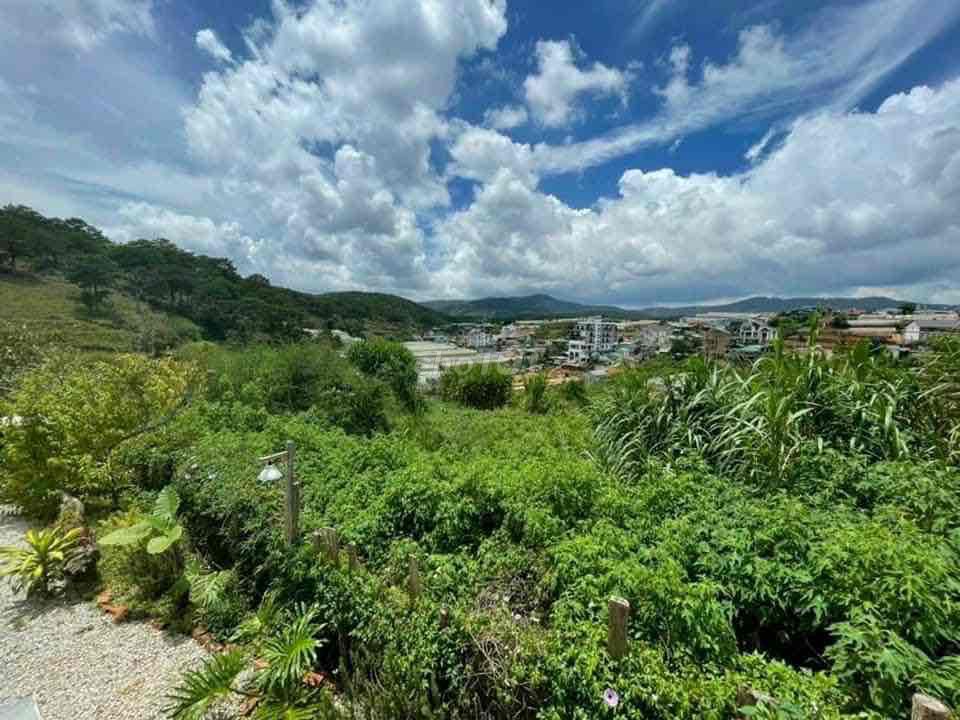 3597069 ảnh đại diện 1