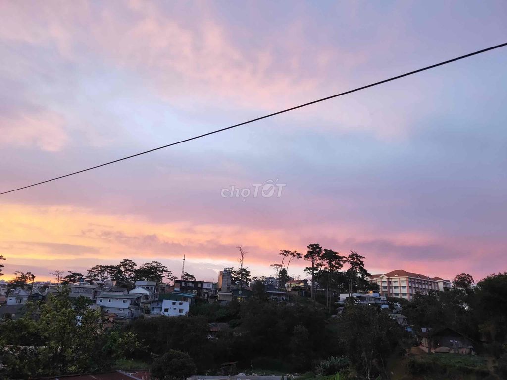 3597070 ảnh đại diện 2