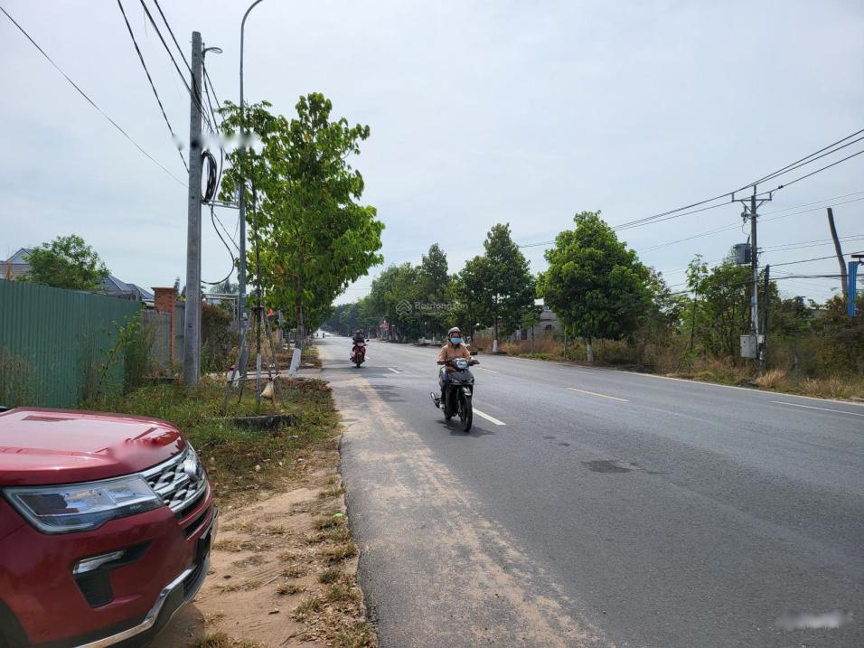 3595682 ảnh đại diện 1