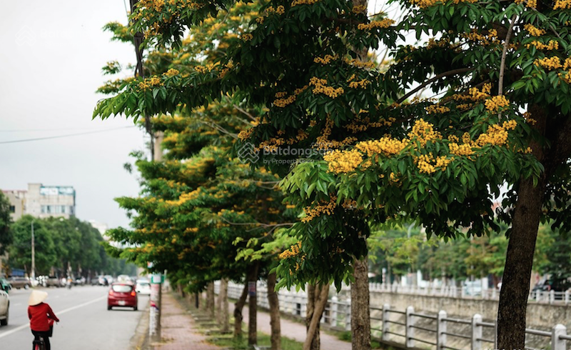 3597291 ảnh đại diện 2