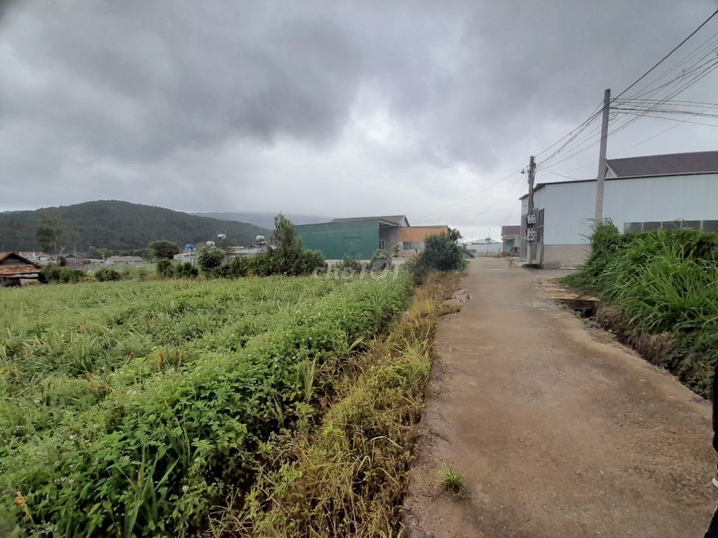 3597083 ảnh đại diện 2