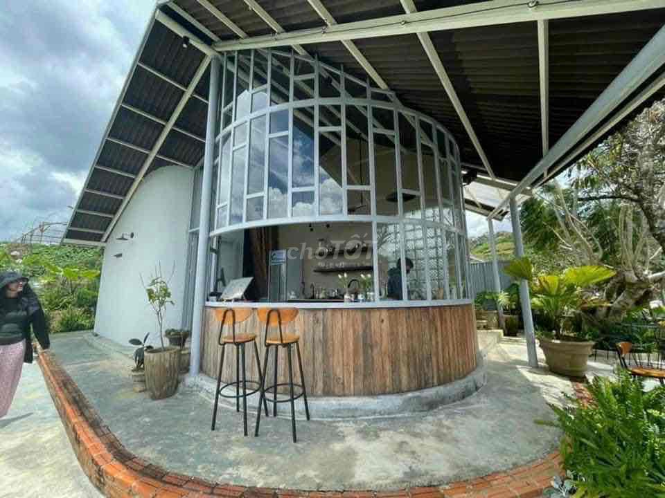 3597069 ảnh đại diện 2