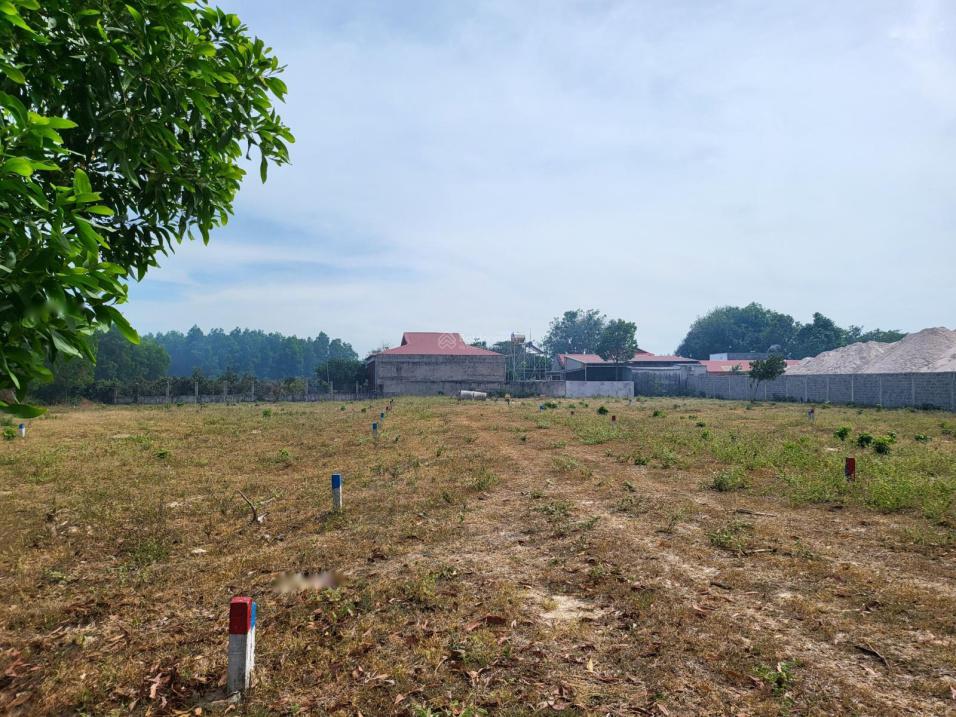 3595697 ảnh đại diện 1