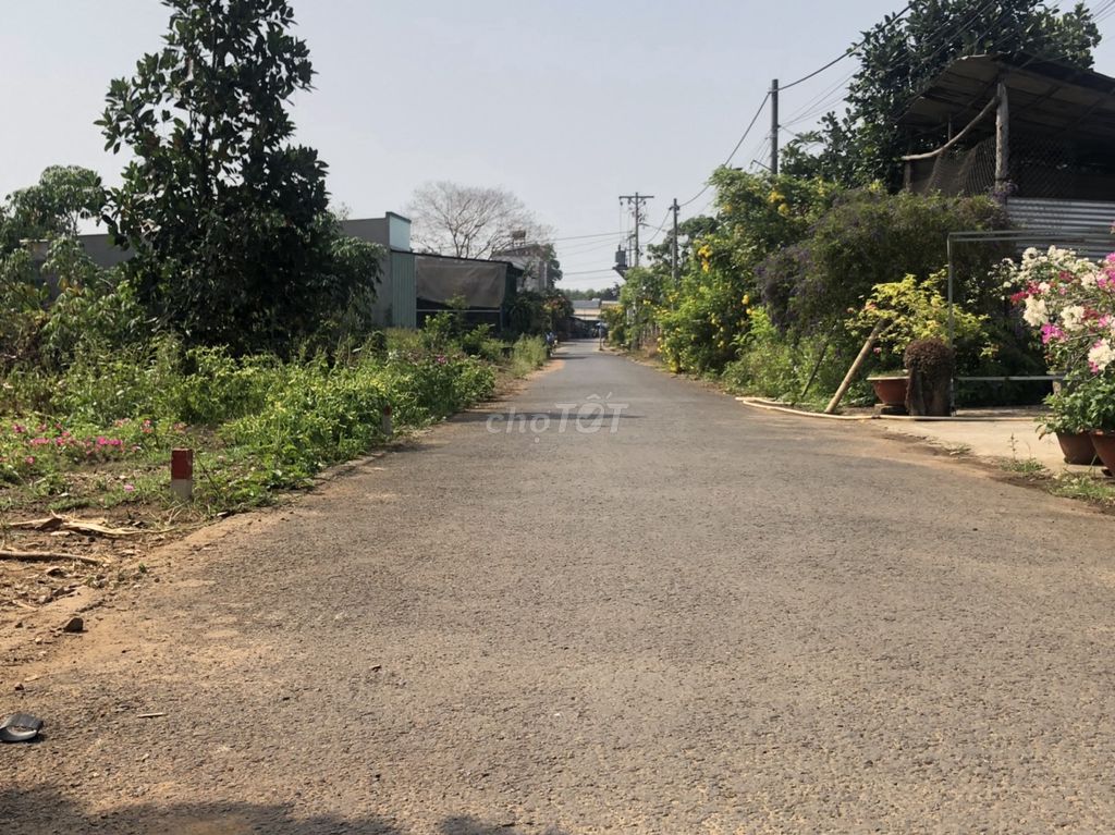 3594602 ảnh đại diện 1