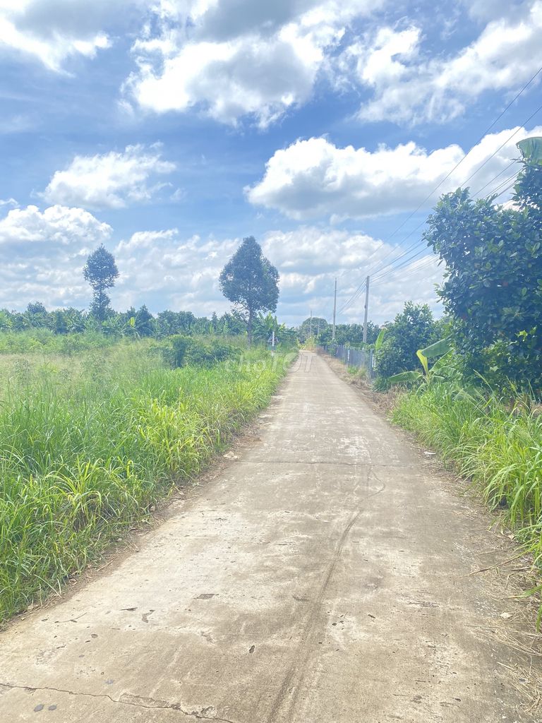 3594600 ảnh đại diện 2