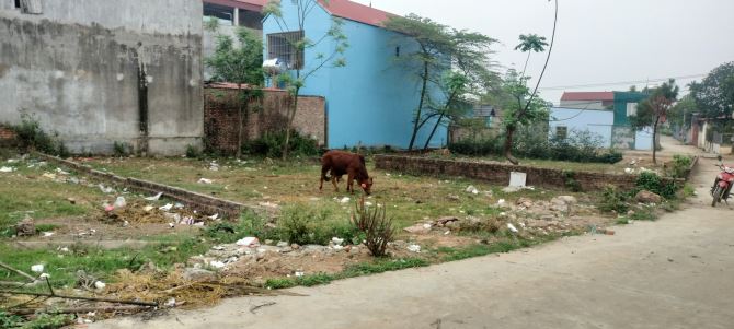 3598831 ảnh đại diện 1