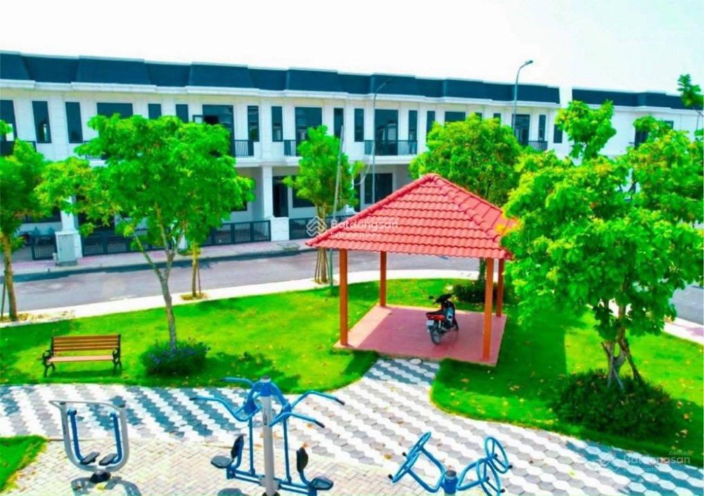 3599517 ảnh đại diện 1