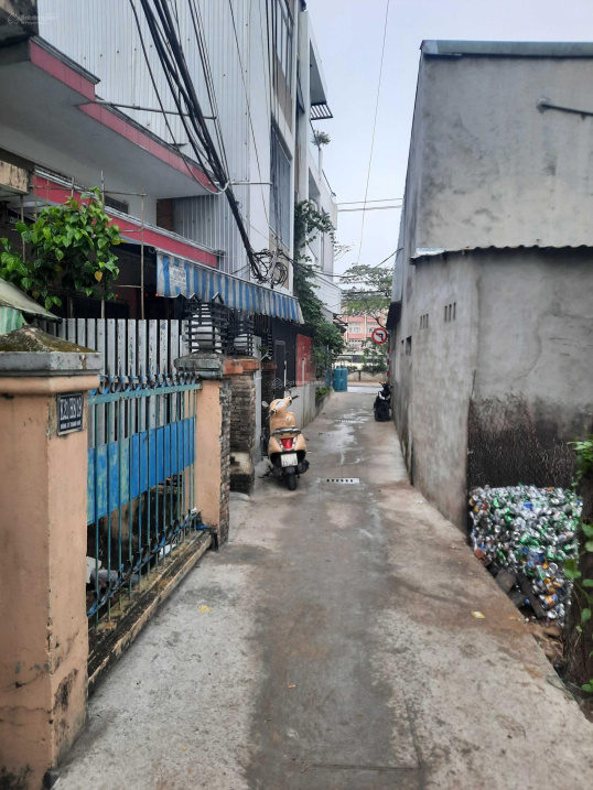 3599257 ảnh đại diện 2