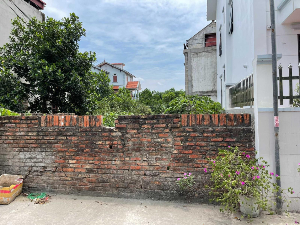 3606111 ảnh đại diện 1
