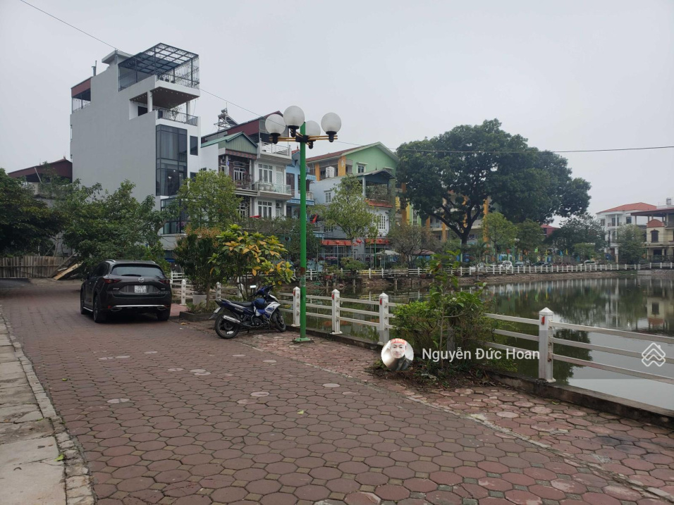 3606142 ảnh đại diện 1