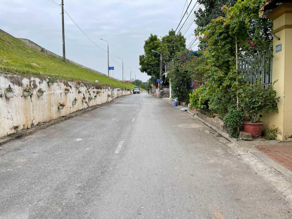 3606116 ảnh đại diện 1