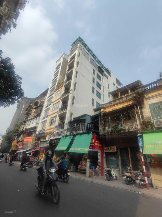 3603115 ảnh đại diện 1
