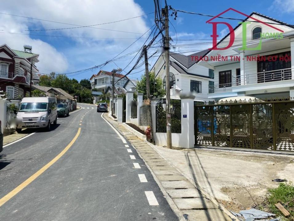 3603736 ảnh đại diện 1
