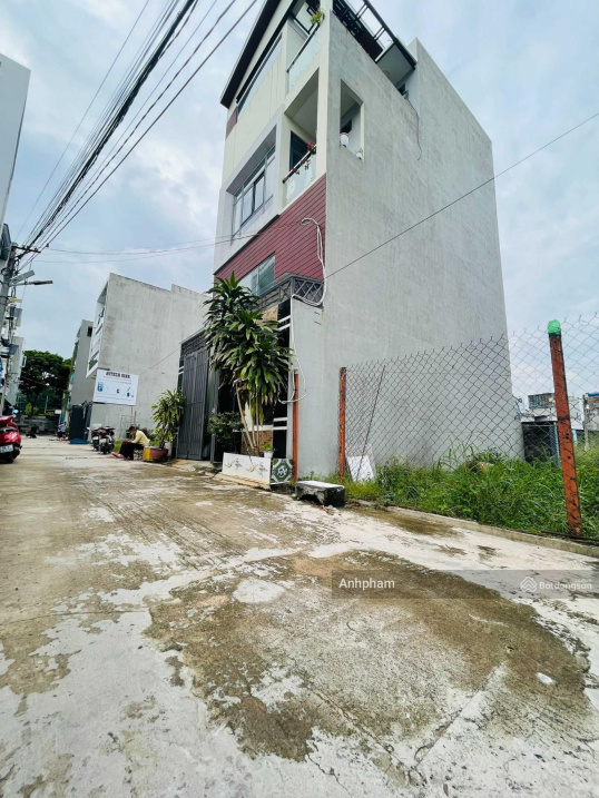 3612564 ảnh đại diện 1