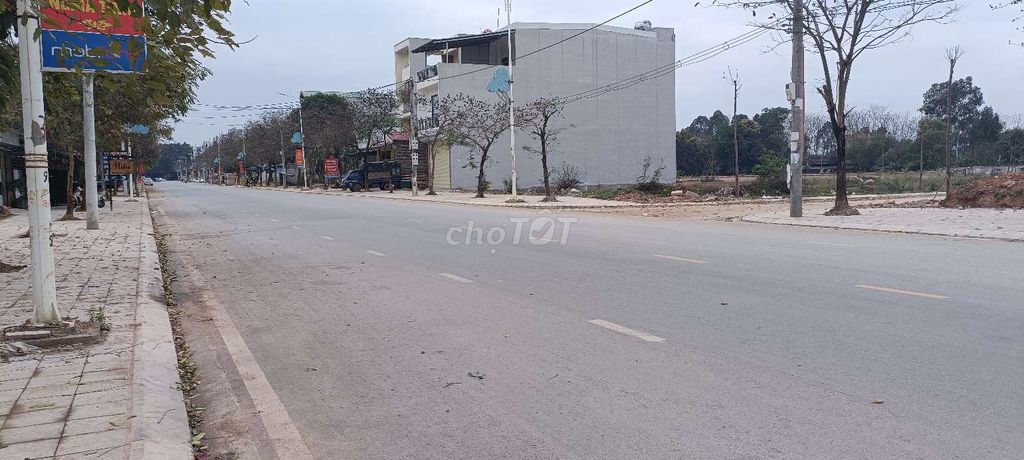 3616058 ảnh đại diện 1