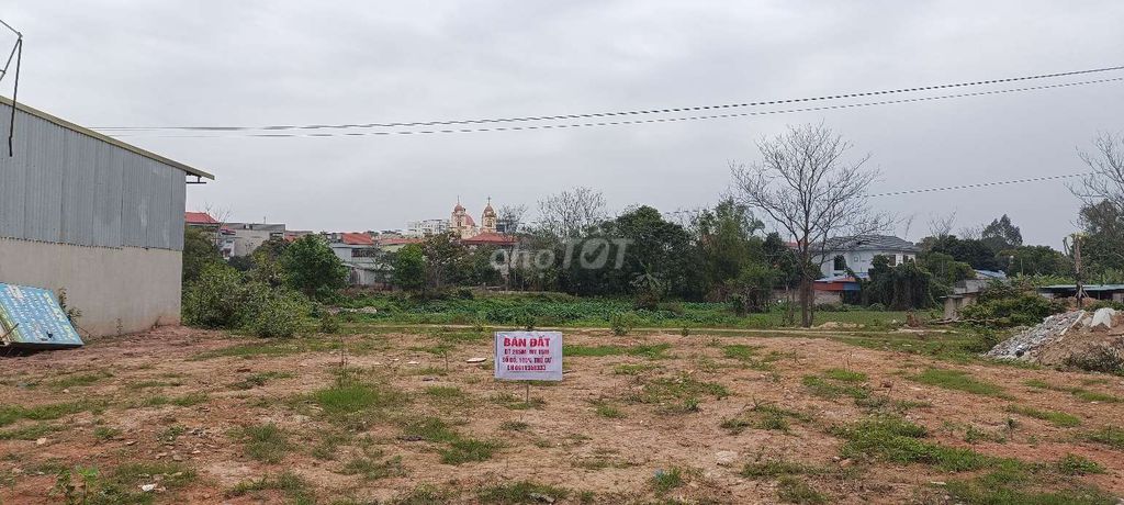 3616058 ảnh đại diện 1