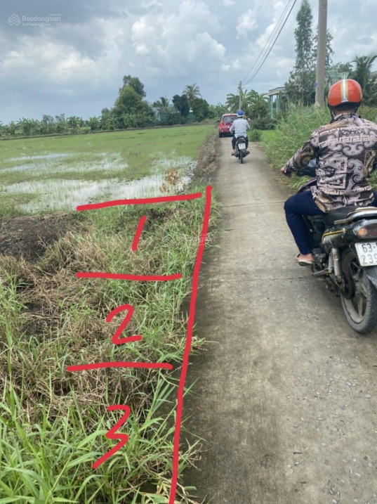 3615033 ảnh đại diện 1