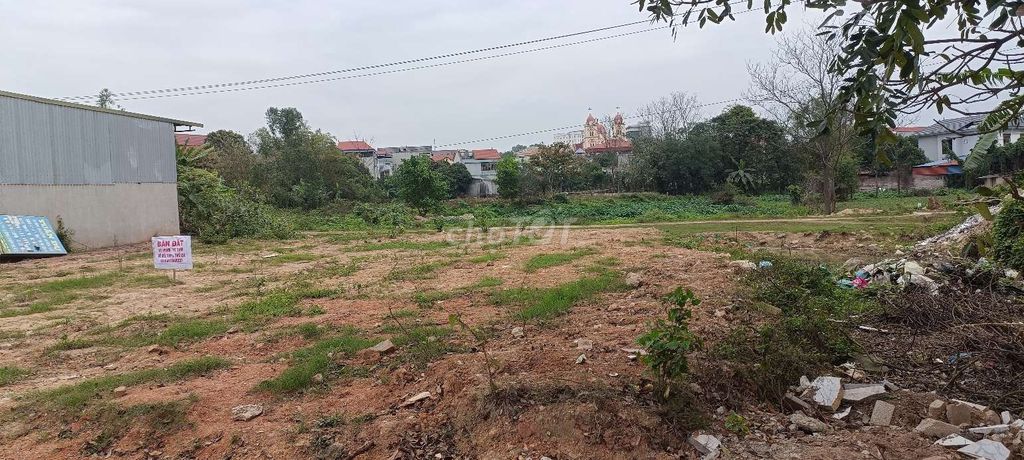 3616058 ảnh đại diện 2