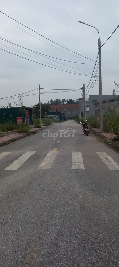 3623294 ảnh đại diện 1