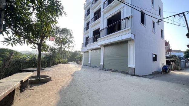 3619264 ảnh đại diện 1