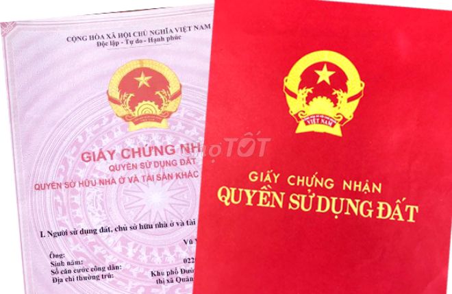 3623293 ảnh đại diện 1