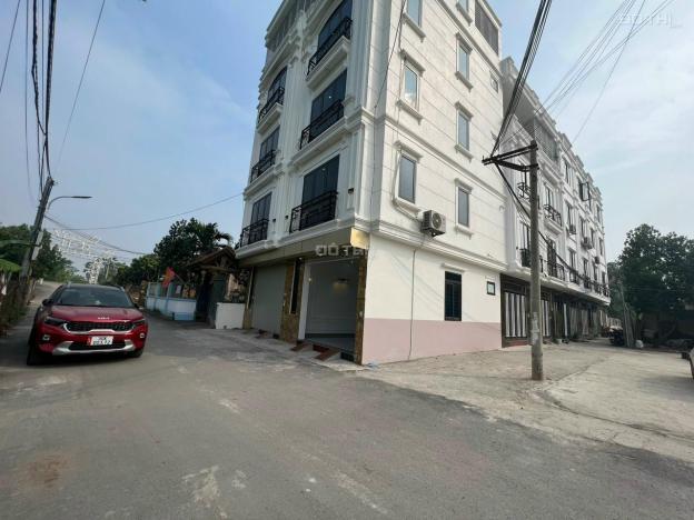 3619260 ảnh đại diện 1