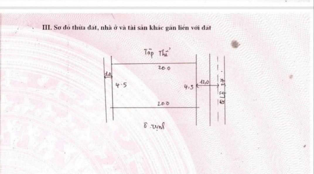 3623290 ảnh đại diện 1