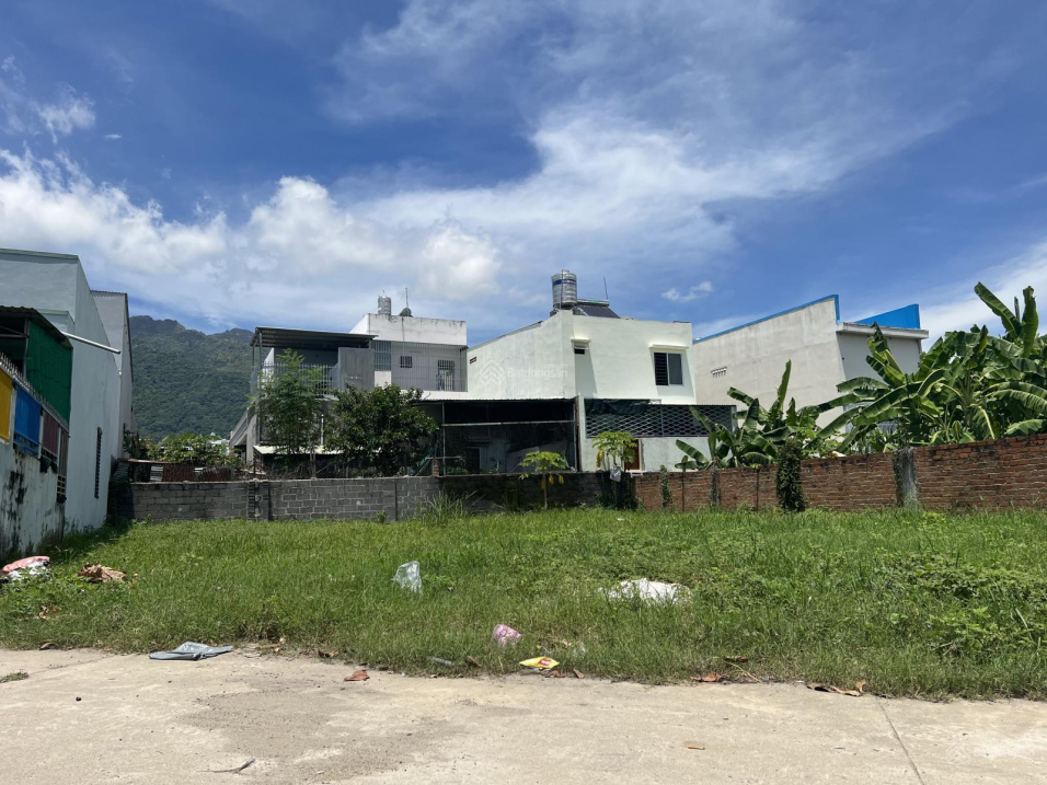 3621899 ảnh đại diện 1