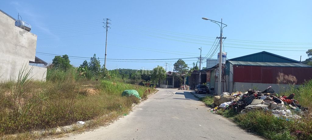 3623294 ảnh đại diện 2