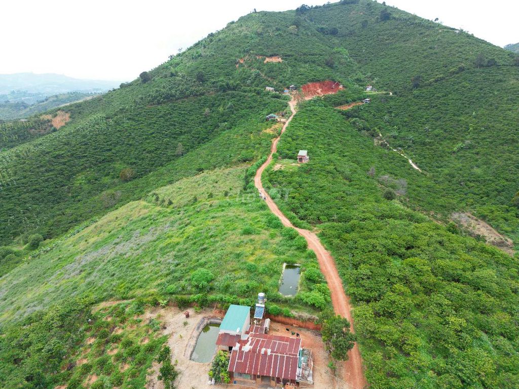 5.000M2 View Săn Mây, Gần Ngay Ql20 Khu Dân Cư