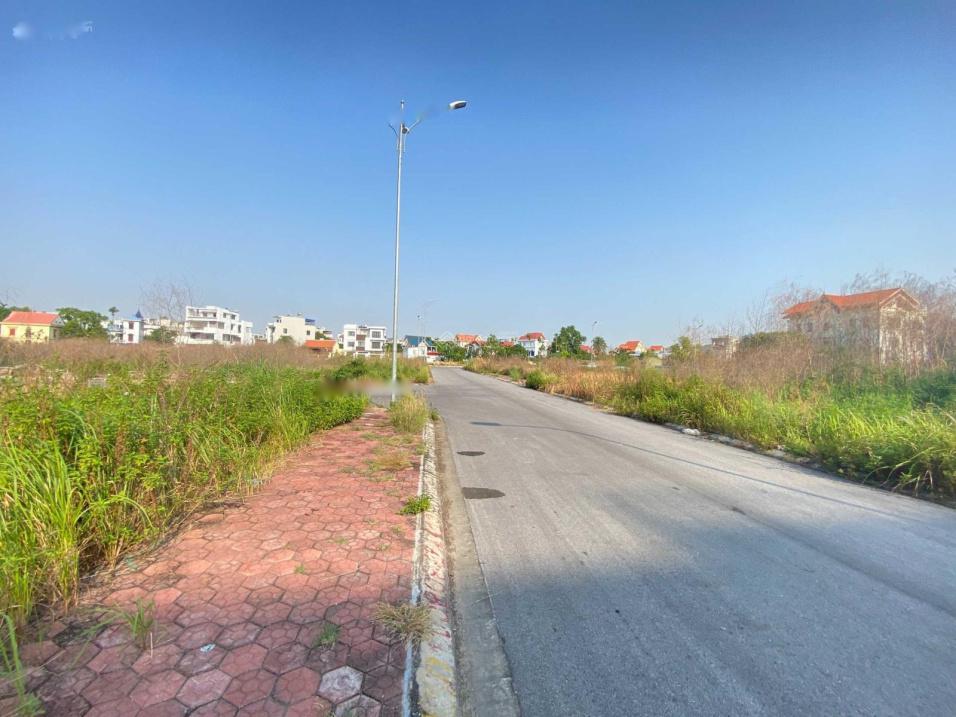 3622849 ảnh đại diện 1