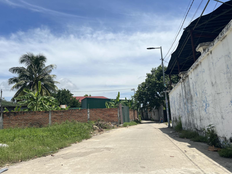3621899 ảnh đại diện 2