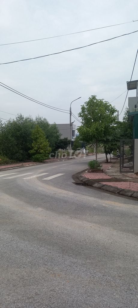 3623294 ảnh đại diện 1