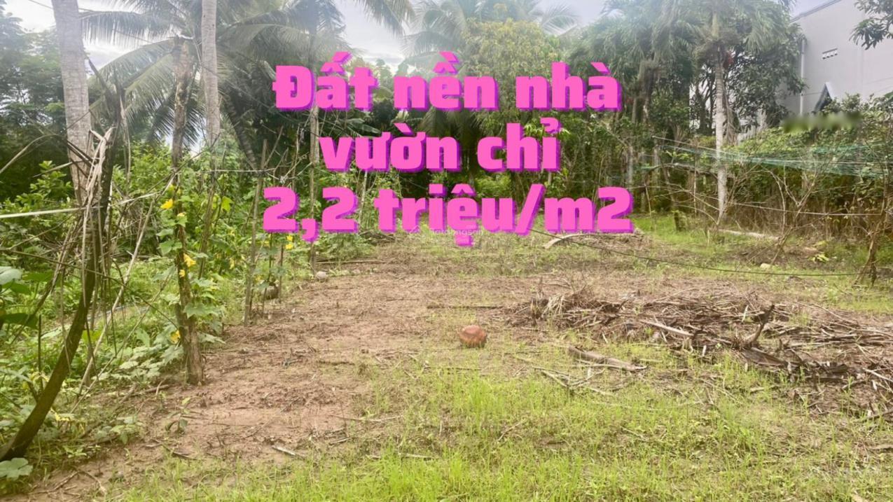 3620314 ảnh đại diện 1