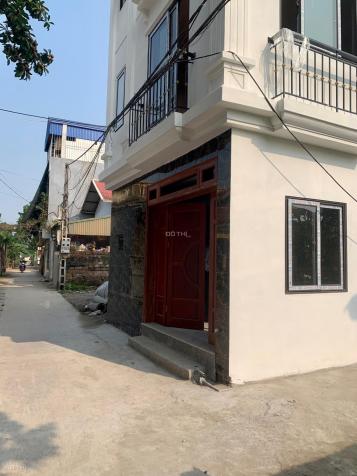 3619263 ảnh đại diện 1