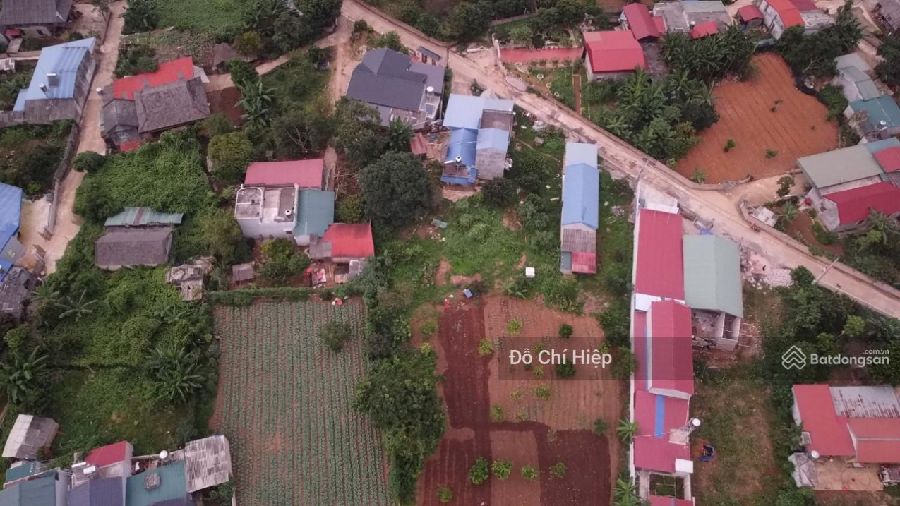 3626563 ảnh đại diện 2