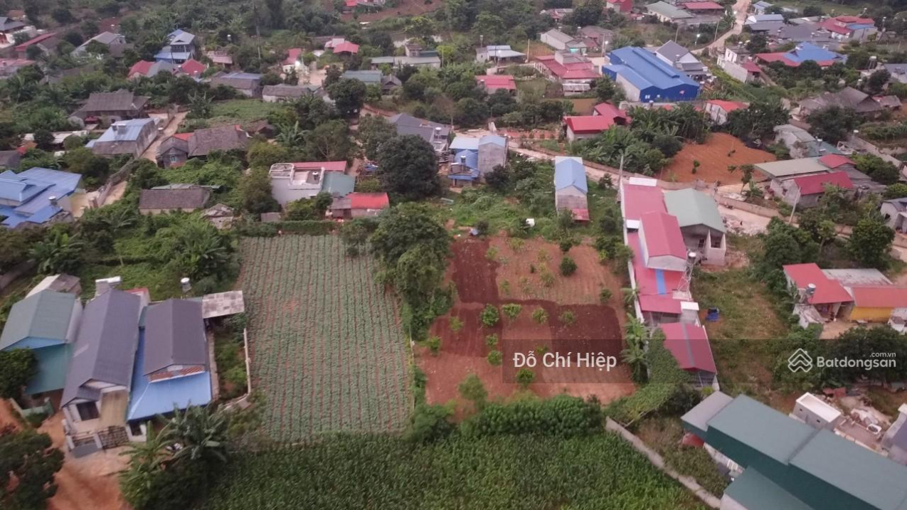3626563 ảnh đại diện 1