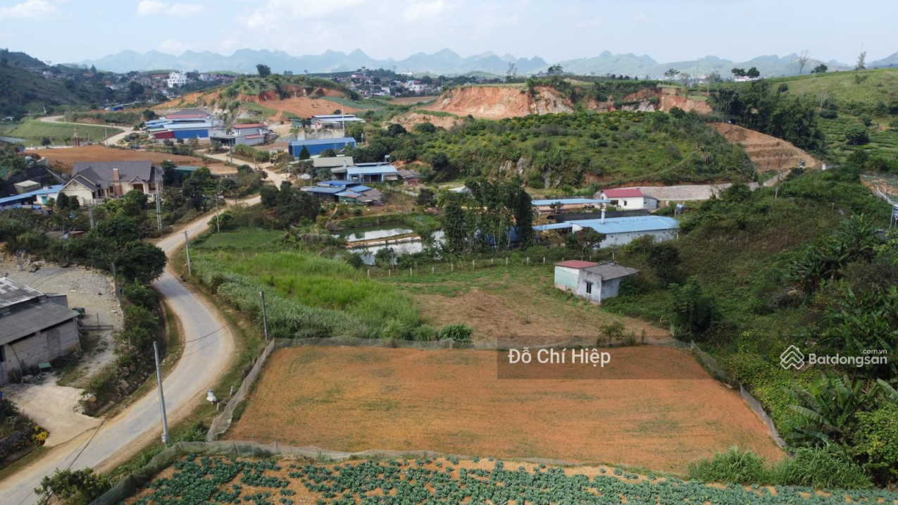 3626564 ảnh đại diện 2
