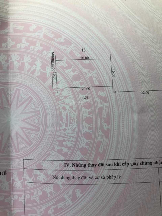 3626839 ảnh đại diện 1