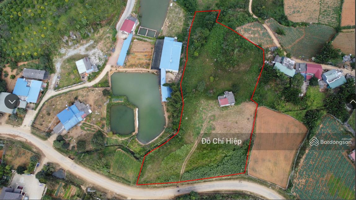 3626564 ảnh đại diện 1