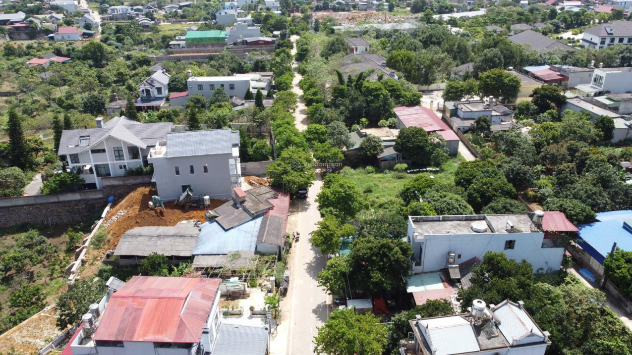 3626565 ảnh đại diện 2