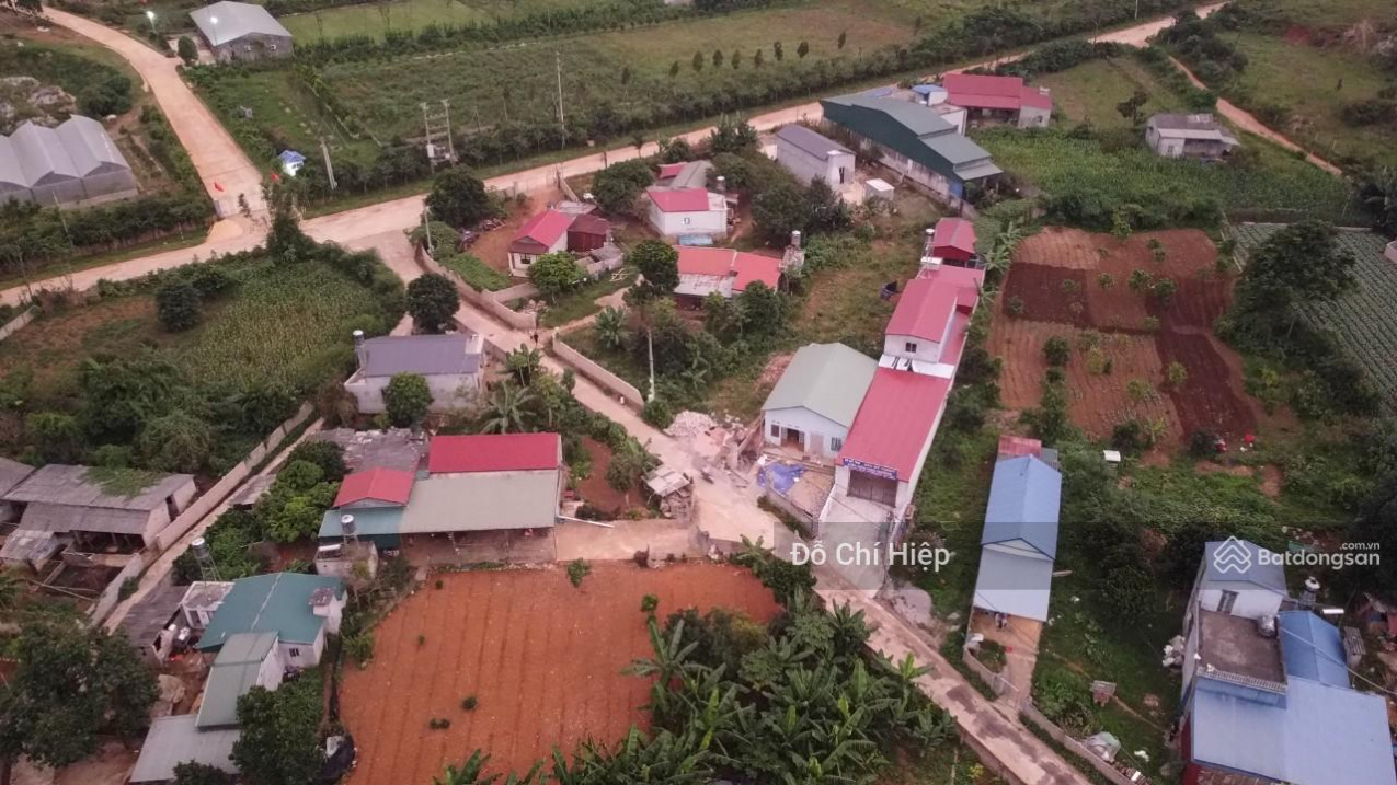 3626563 ảnh đại diện 1