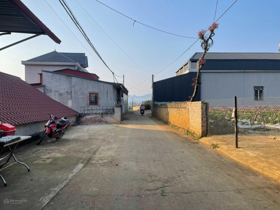 3626566 ảnh đại diện 1